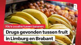 'Tientallen kilo's cocaïne' in supermarkten: zat verstopt in grote dozen met fru