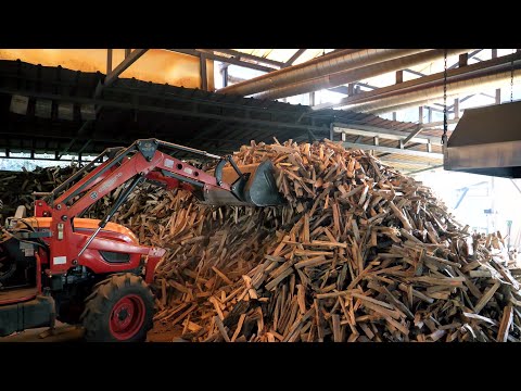 Würzige Hühnersuppe auf Platz 1 in Korea / koreanisches Essen