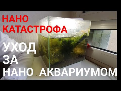 НАНО КАТАСТРОФА. Уход за нано аквариумом. Выпуск 6.