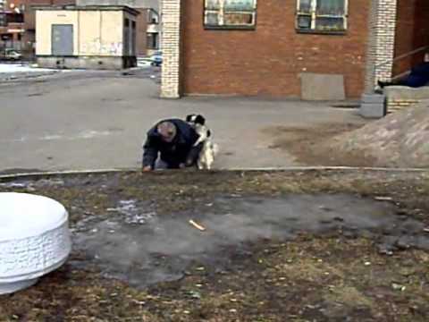 Смотреть порно бесплатно секс видео/ролики онлайн без