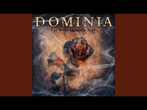 The Light Of The Black Sun