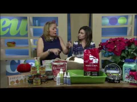 Holiday Pet Solutions