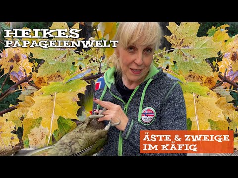 Äste und Zweige in Papageien- und Sittichkäfigen