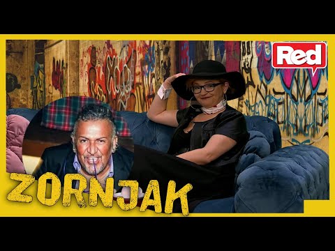 Kasni Zornjak SPECIJAL - deo - 1 Daft Punk PROPO -23.02.2021 - Red TV