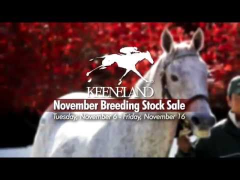 Keeneland's November Breeding Stock Sale