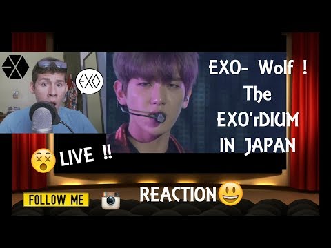 EXO - Wolf The EXO'rDIUM IN JAPAN (LIVE PERFORMANCE REACTION)