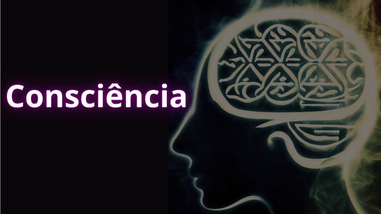 O que é a consciência?