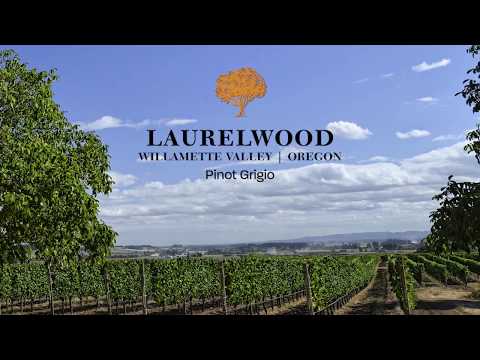 Laurelwood Winery - Pinot Grigio
