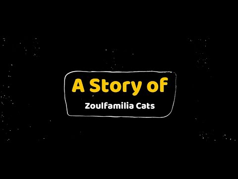 [Vlog] Our cats story