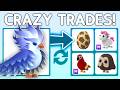 Trading FROST PHOENIX In Adopt Me Christmas Update