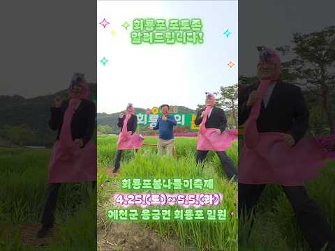 [회룡포봄나들이축제] 회룡포 포토존을 점령한 홍학 두 마리, 여기는 다×100 예쁩니다