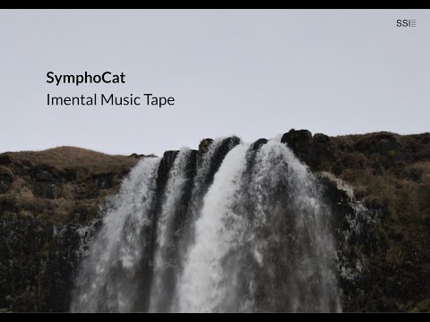Symphocat - Imental Music Tape (Full Album)