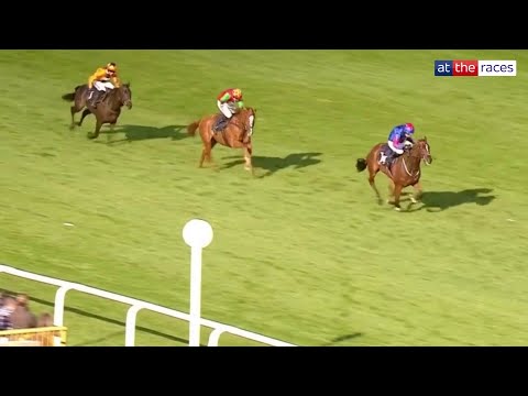 Big performance! JOSH THE BOSS takes the Silver Trophy at Chepstow!