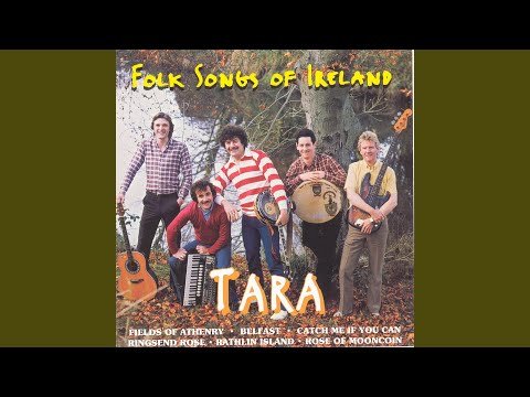 The Fields Of Athenry