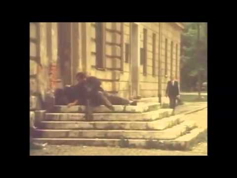 Трейлер
