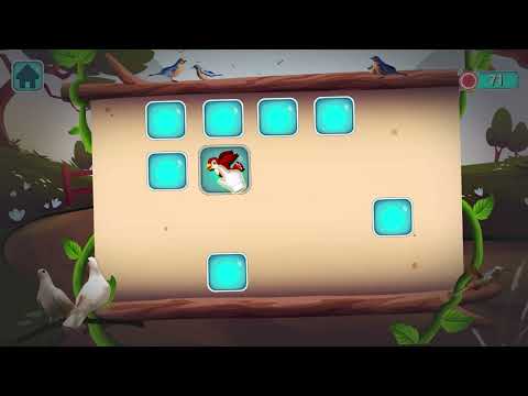 Pair Match - Brain Puzzle