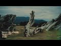Sarah McLachlan - Wilderness (Official Visualizer)