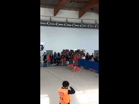 Vis Favaro - Sincrogym 2016 - Coppie 2a fascia GOLD