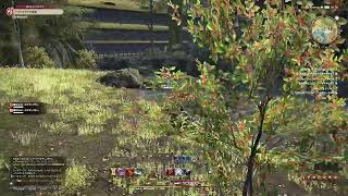 【2日目】ff14やる