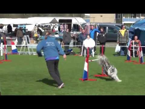 20 april 2013 - Djairo - B1 Culemborg - Jumping