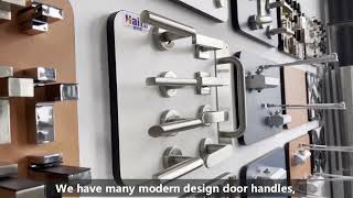 Stainless Steel Door Handle Series - Haits Hardware