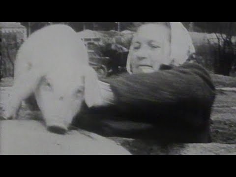 Symfonia Małego Miasta - Zwiastun