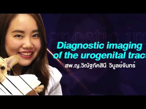 The X-Ray Innovation Grand Seminar 27/05/22