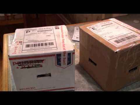 How To Ship Morel Mushrooms