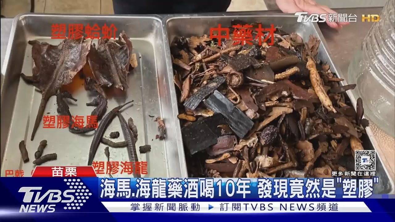 塑膠海馬藥酒? 台中中藥公會親赴苗栗鄉代處解疑 證明「海馬是真的」｜