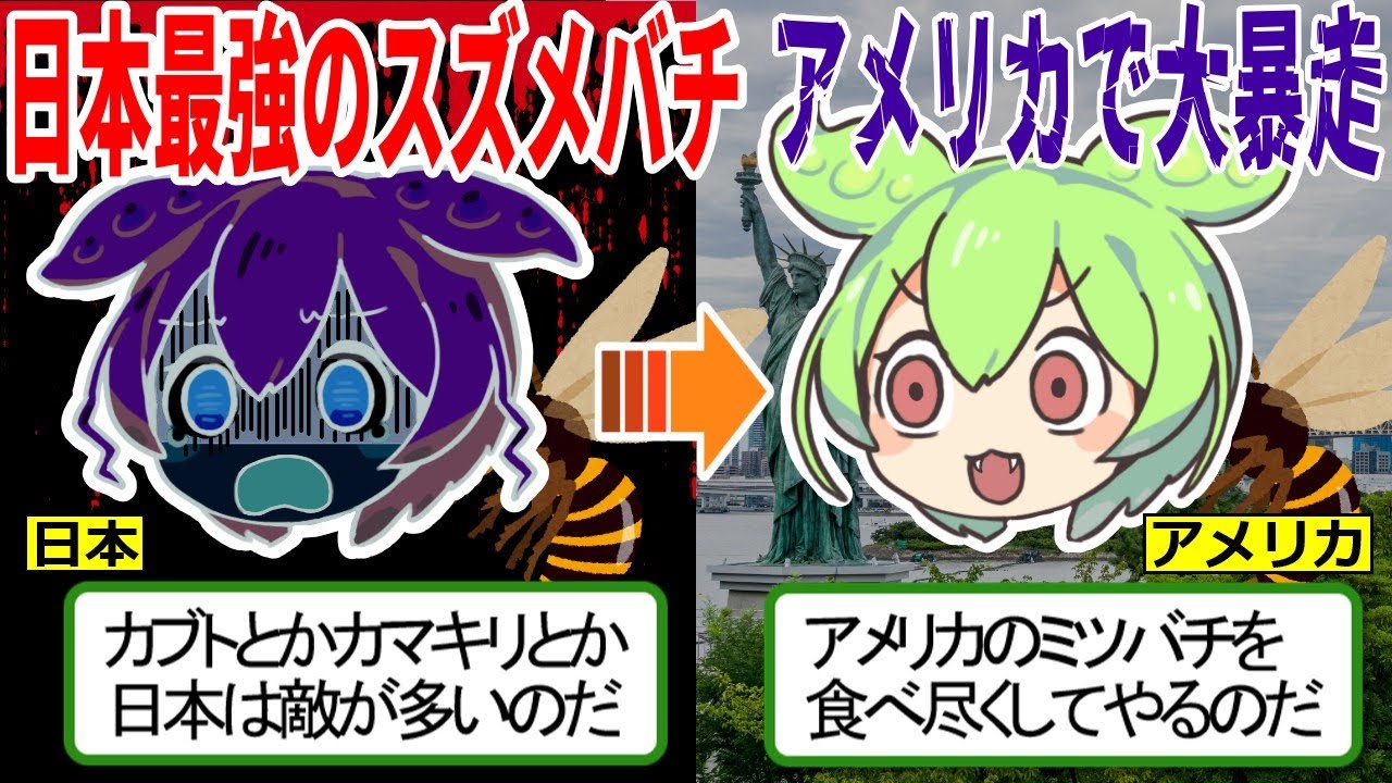 日本最強のスズメバチがアメリカで大暴走【ずんだもん ゆっくり解説】