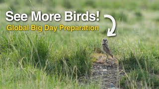 Here’s How to Have the Best Global Big Day Possible!