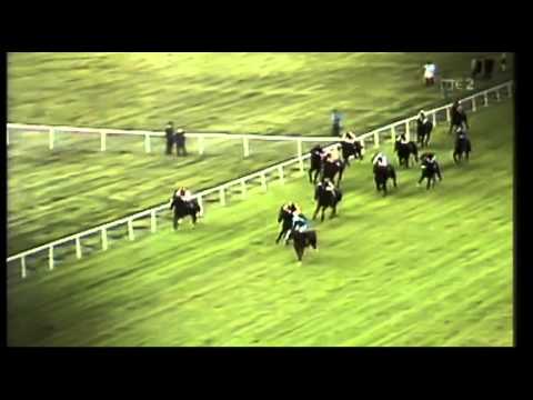 The Minstrel - Irish Sweeps Derby 1977
