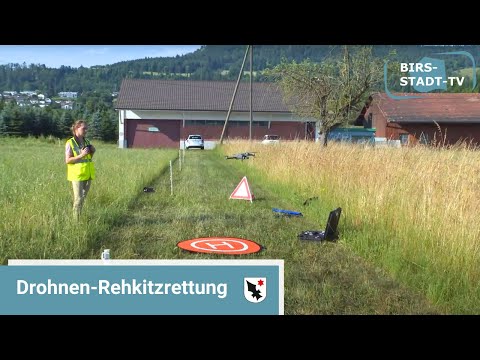 Rehkitzrettung mit Drohnen und Badikult 23 - Birsstadt-TV Aesch