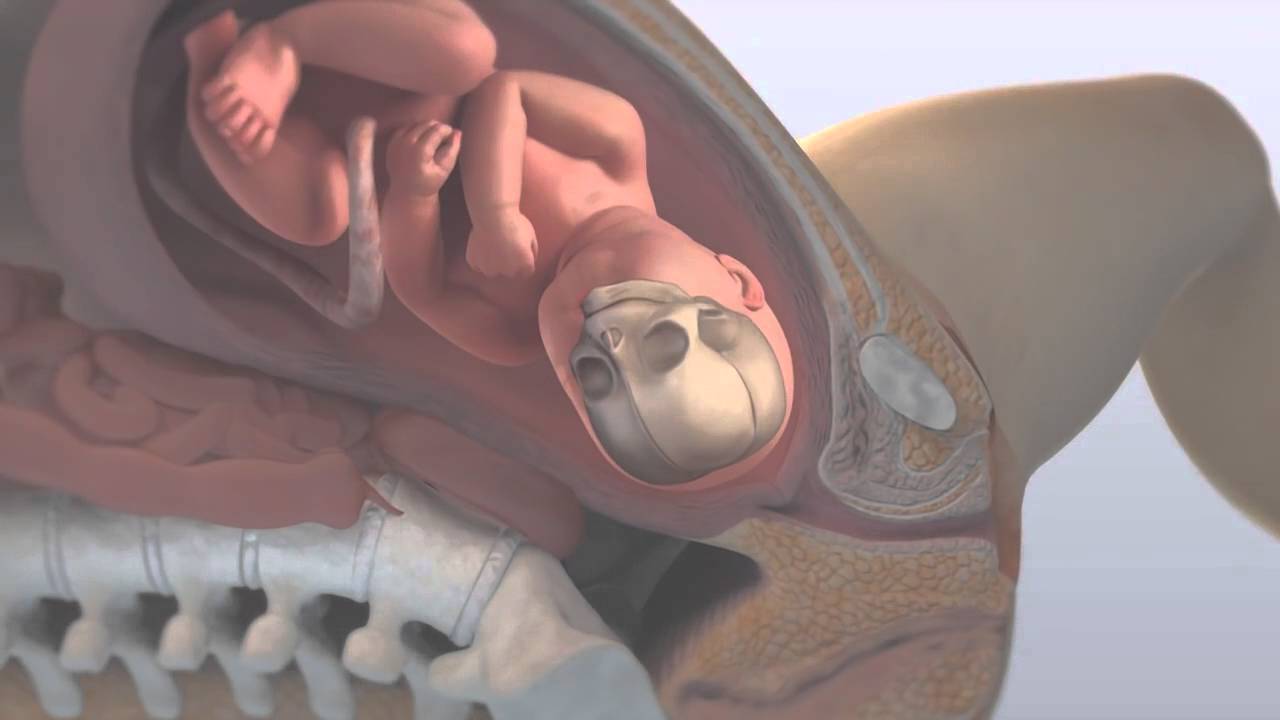 Salvatore Andrea Mastrolia-7