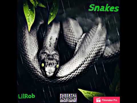 WhyNotRob “Snakes” (Official Audio)