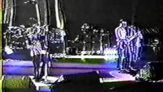 311 - &quot;Paradise&quot; (live) Redrocks 6-15-1996