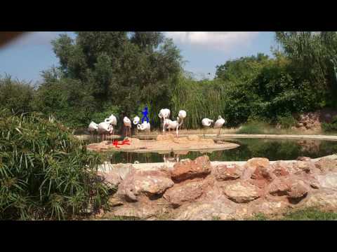 The Four Elements fight