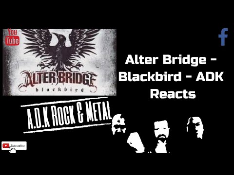 Alter Bridge "Blackbird" - ADK Reacts