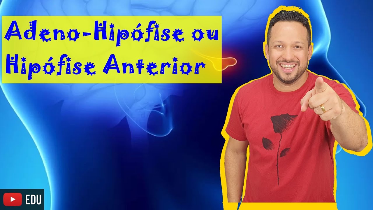 Adeno-Hipófise ou Hipófise Anterior - Hormônios e Funções - Sistema Endócrino - Aula 3