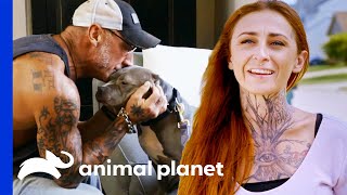 Extremely Shy Dog Finally Gets Adopted | Pit Bulls & Parolees video