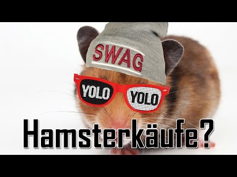 Regierung empfiehlt: Hamsterkäufe, Krisenvorsorge, Prepping, … – Let’s Shoot #89