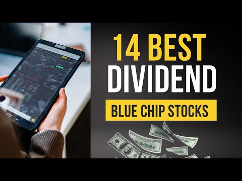 Top 14 Best Dividend Blue Chip Stocks to Buy in 2023