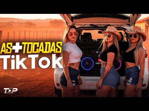 SELEÇÃO MÚSICAS DO TIKTOK 2025 - AS MELHORES DO TIKTOK - Manu Bahtidão, Léo Foguete, Natanzinho