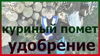 Приготовить геркулес для прикормку из куриного помета
