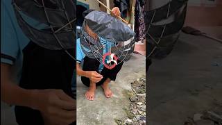 Download lagu Try making a 60cm mini turbo ram raman kite #short #kite #kites mp3 Download lagu Try making a 60cm mini turbo ram raman kite #short #kite #kites mp3