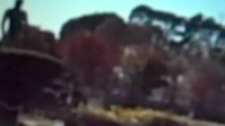 Michael Jackson Miniland Johannesburg