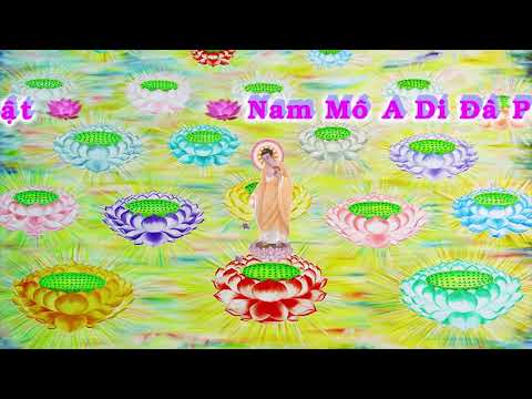 HD | Kinh A Di Đà Sớ Sao Diễn Nghĩa, tập 182 [phụ đề] - Lão Pháp Sư Tịnh Không