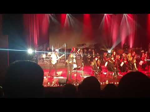 Grzegorz Kupczyk & Mr. Pollack "Plan"