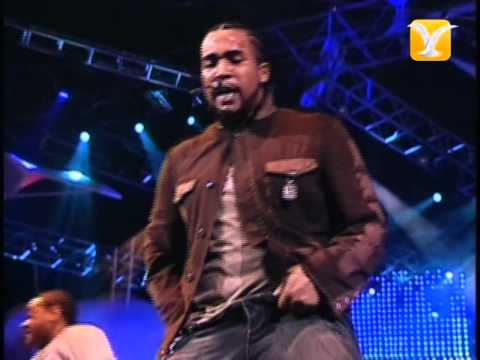 Don Omar, Dile, Festival de Viña 2007