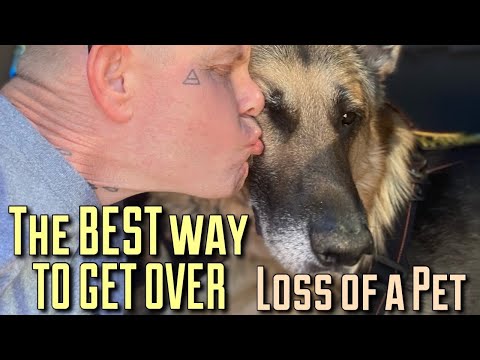 The BEST way to get over the loss of a pet | How to survive the loss of a pet